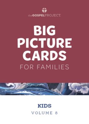 The gospel project for kids kids big picture cards volume 8 from