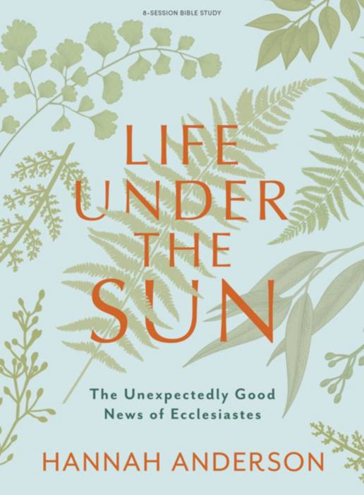 Life Under the Sun - Bible Study Book | Lifeway