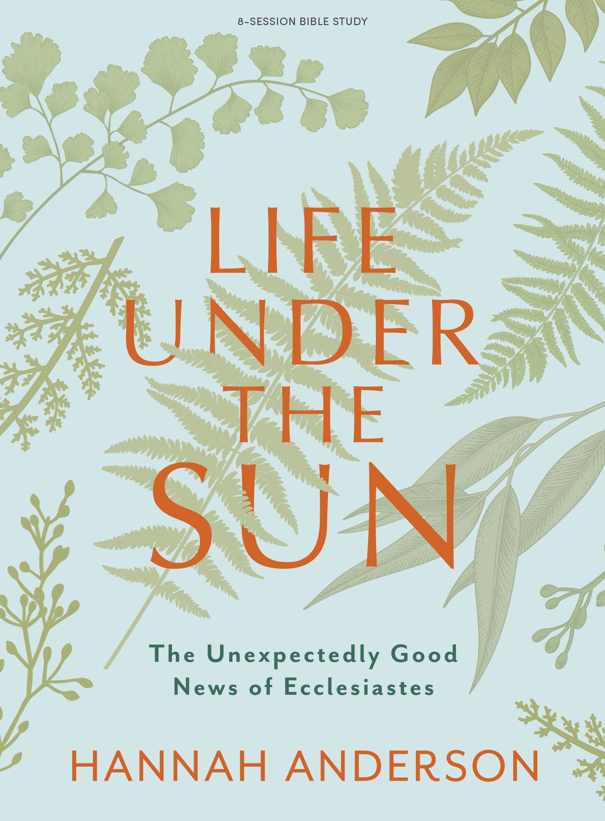 Book cover of Life Under the Sun by Hannah Anderson