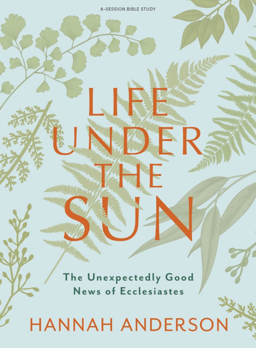 Life Under the Sun Bible Study Book Lifeway