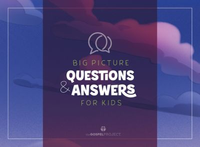 Big Picture Questions And Answers PKG 10 | Lifeway