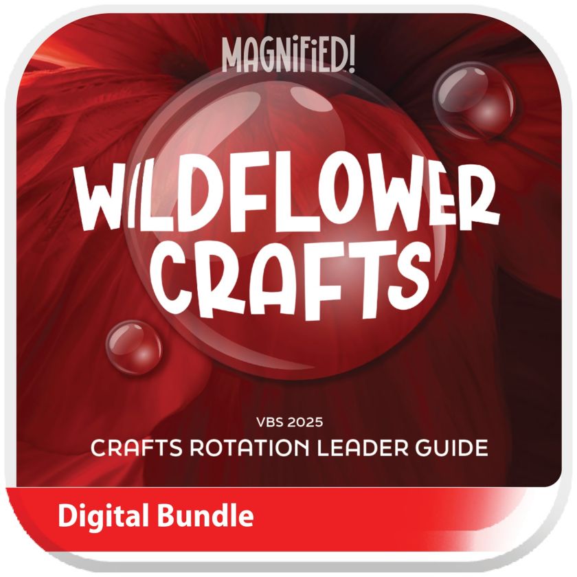 VBS 2025 Crafts Leader Guide Digital Lifeway