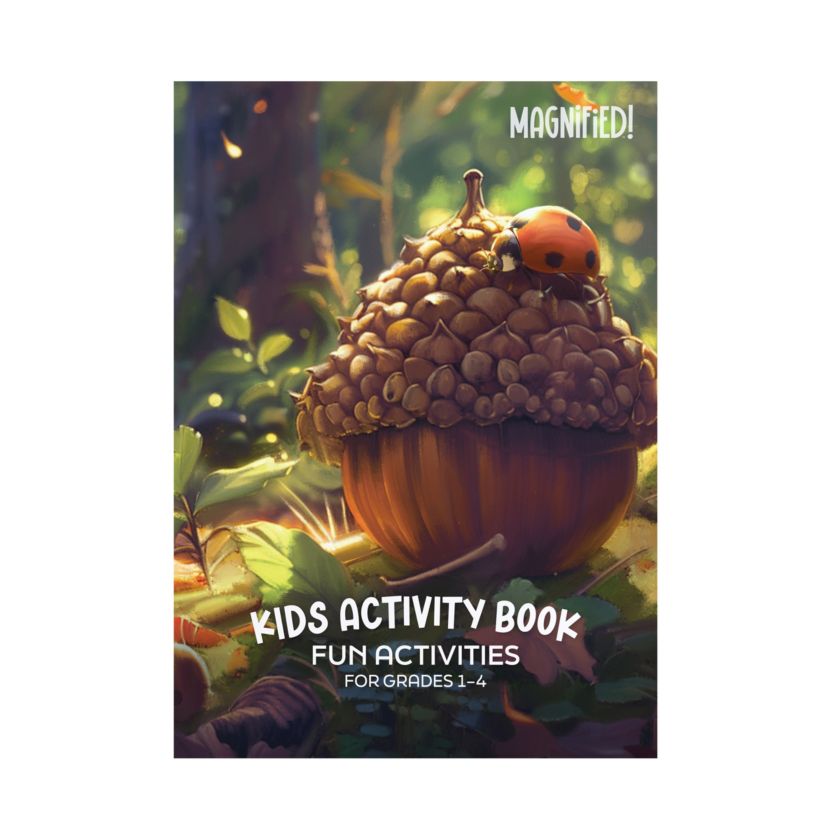 VBS 2025 Kids Activity Book (Pack of 12) Lifeway