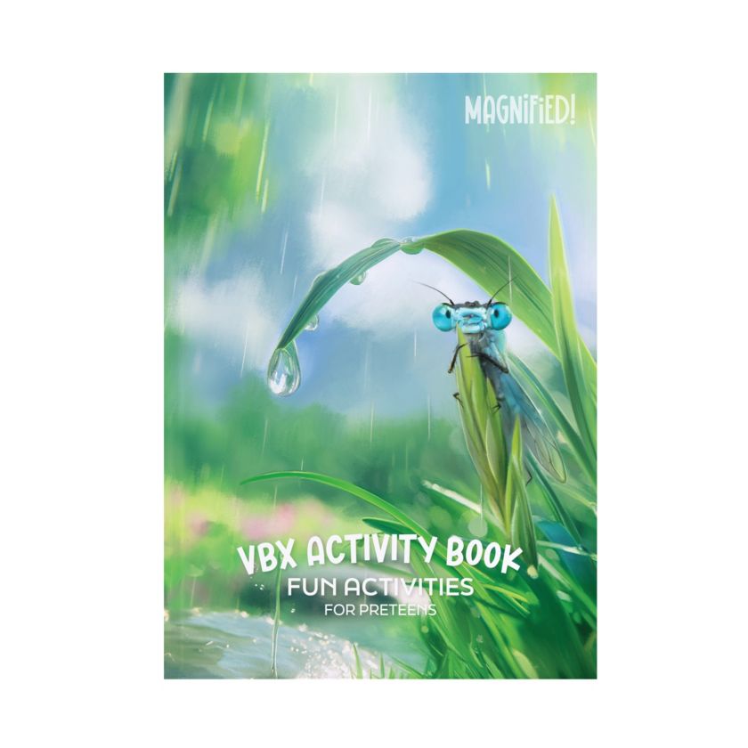 VBS 2025 VBX Preteen Activity Book (Pack of 12) Lifeway