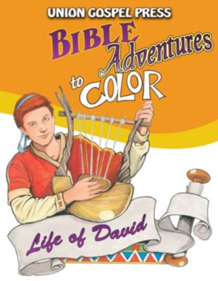 Life of David Coloring Book - LifeWay