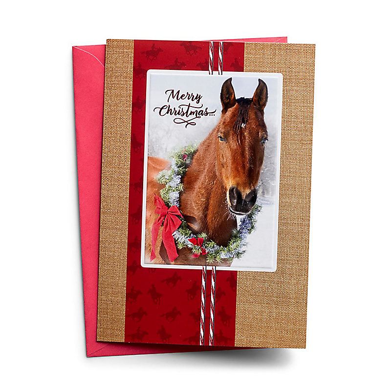 Christmas Boxed Cards: Merry Christmas, Happy Trails
