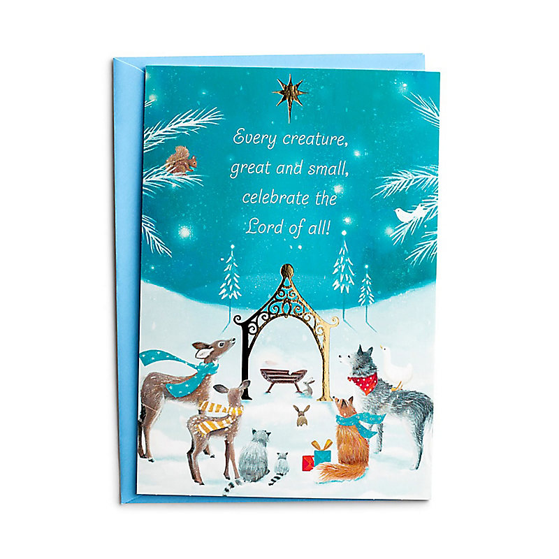 Christmas Boxed Cards: Every Creature