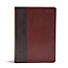 NLT Life Application Study Bible, Third Edition, Simulated Leather, Brown/Tan