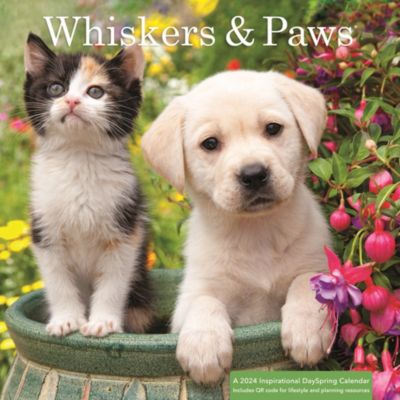 2024 Wall Calendar Whisker & Paws Lifeway