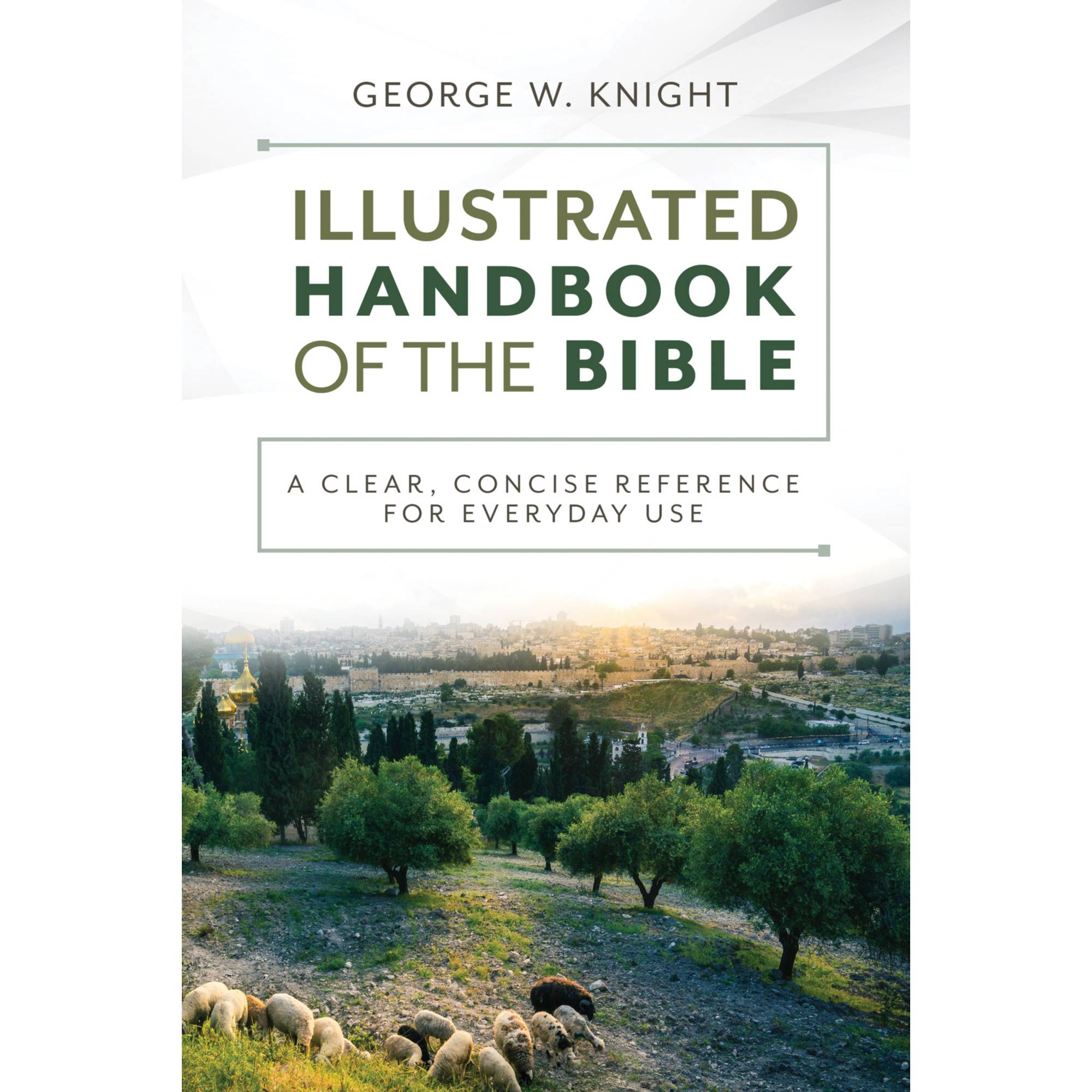 The Illustrated Handbook of the Bible | Lifeway