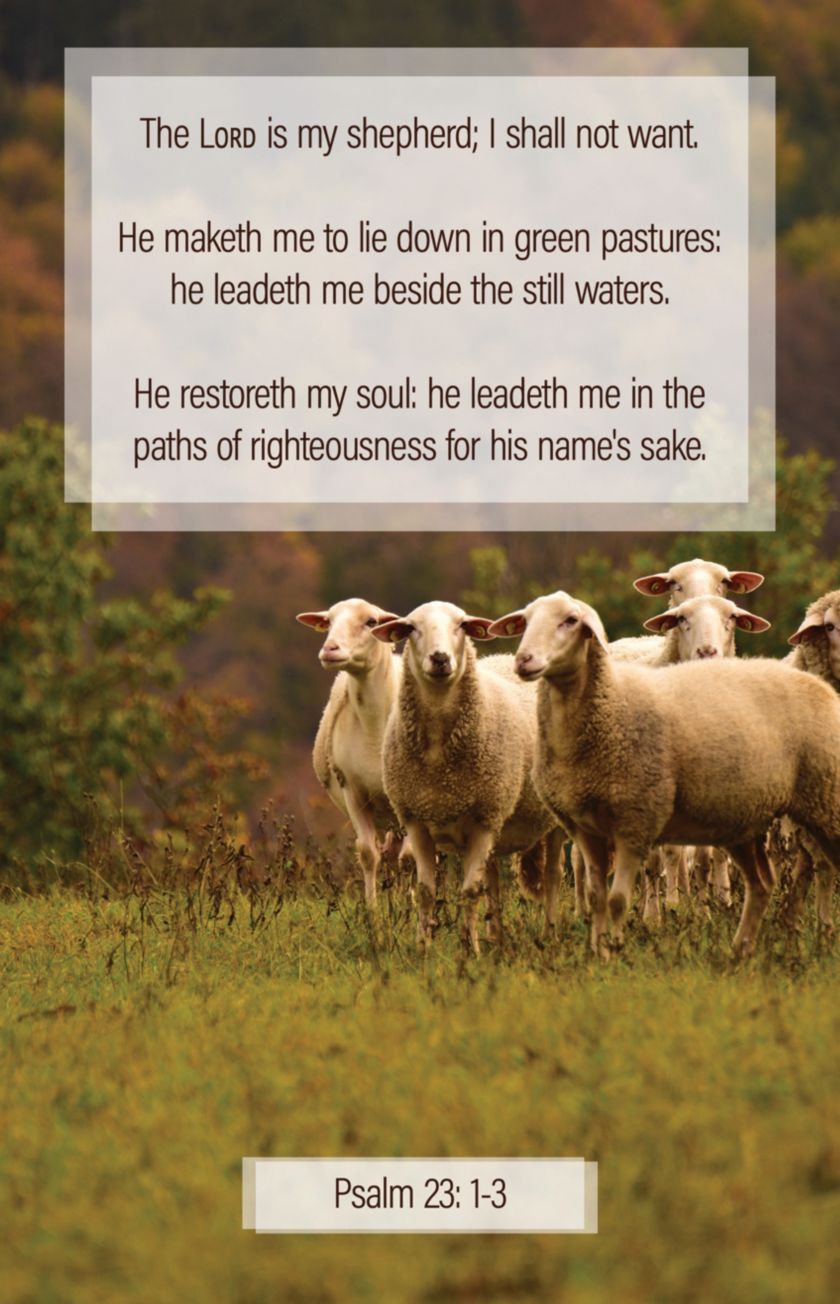 General Worship Bulletin: My Shepherd (Package of 100) | Lifeway