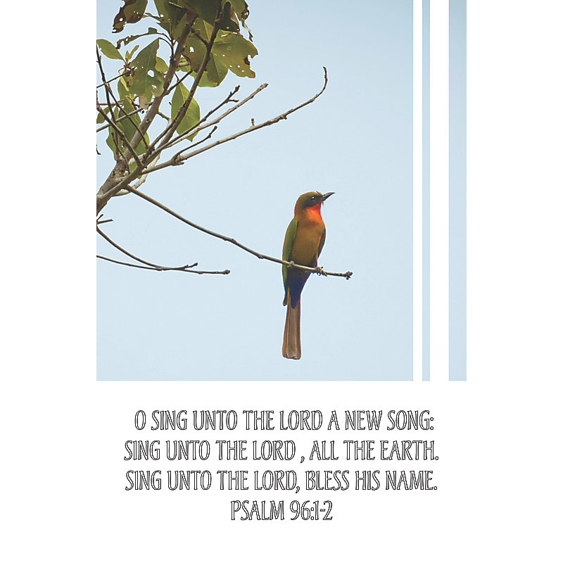 Sing Unto The Lord  Bulletin (Pkg 100) General Worship