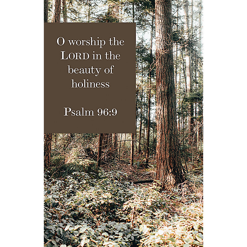 O Worship the Lord  Bulletin (Pkg 100) General Worship