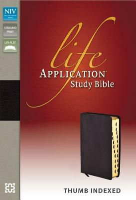 Life application study bible kjv pdf free download picture
