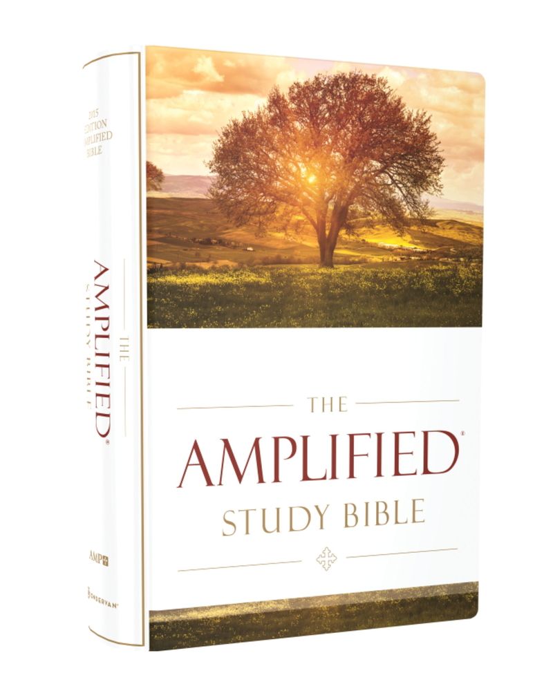 Bible Amplified Version Exclusive Deals idsdeutschland.de