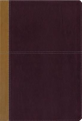 kjv-amplified-parallel-bible-large-print-leathersoft-tan-red-red-letter-edition-lifeway