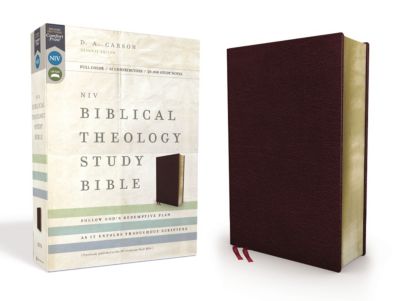 NIV, Biblical Theology Study Bible, Bonded Leather, Burgundy, Indexed, Comfort Print