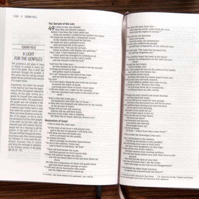 The Jesus Bible, NIV Edition, Cloth over Board, Gray Linen, Comfort Print