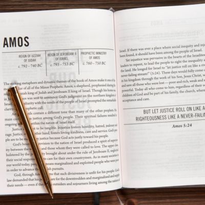 The Jesus Bible, NIV Edition, Cloth over Board, Gray Linen, Comfort Print