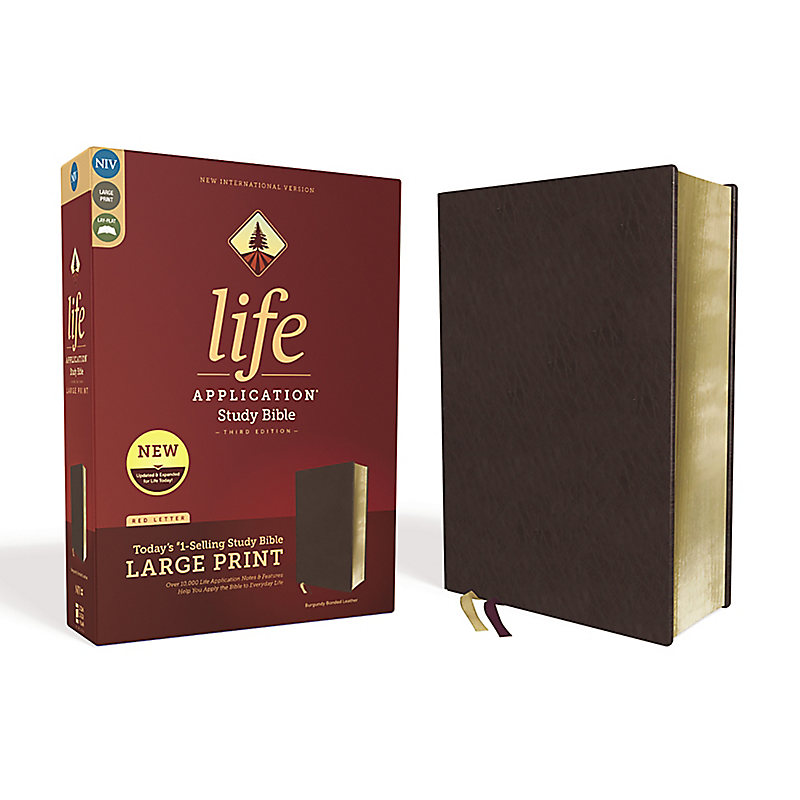 NIV, Life Application Study Bible, Third Edition, Large Print, Bonded Leather, Burgundy, Red Letter Edition