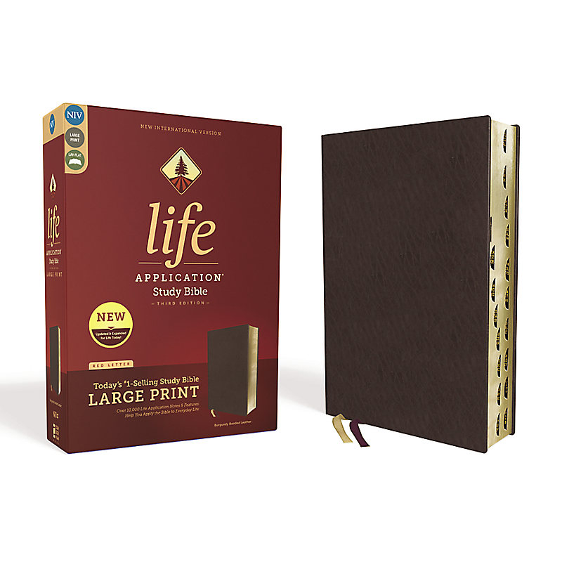 NIV, Life Application Study Bible, Third Edition, Large Print, Bonded Leather, Burgundy, Red Letter Edition, Thumb Indexed