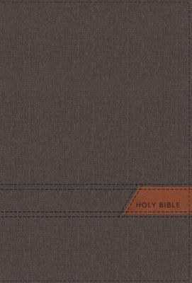 NIV Illustrating Bible-Dark Gray Faux Leather