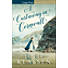 A Castaway in Cornwall, Large Print Ed.