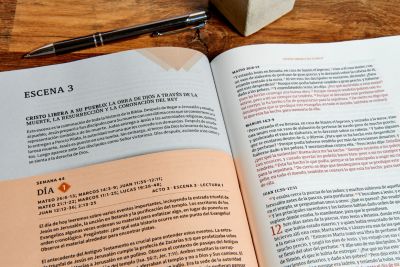 RVR 1960 Biblia cronológica, día por día, tapa dura