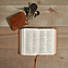 CSB On-the-Go Bible, Ginger LeatherTouch