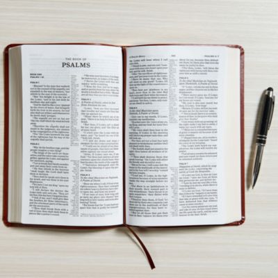 KJV Ultrathin Reference Bible, Brown LeatherTouch