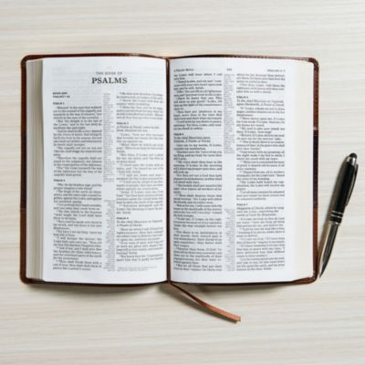 KJV Ultrathin Reference Bible, Saddle Brown LeatherTouch