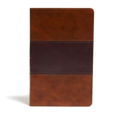 KJV Ultrathin Reference Bible, Saddle Brown LeatherTouch, Indexed