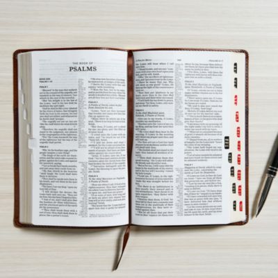 KJV Ultrathin Reference Bible, Saddle Brown LeatherTouch, Indexed