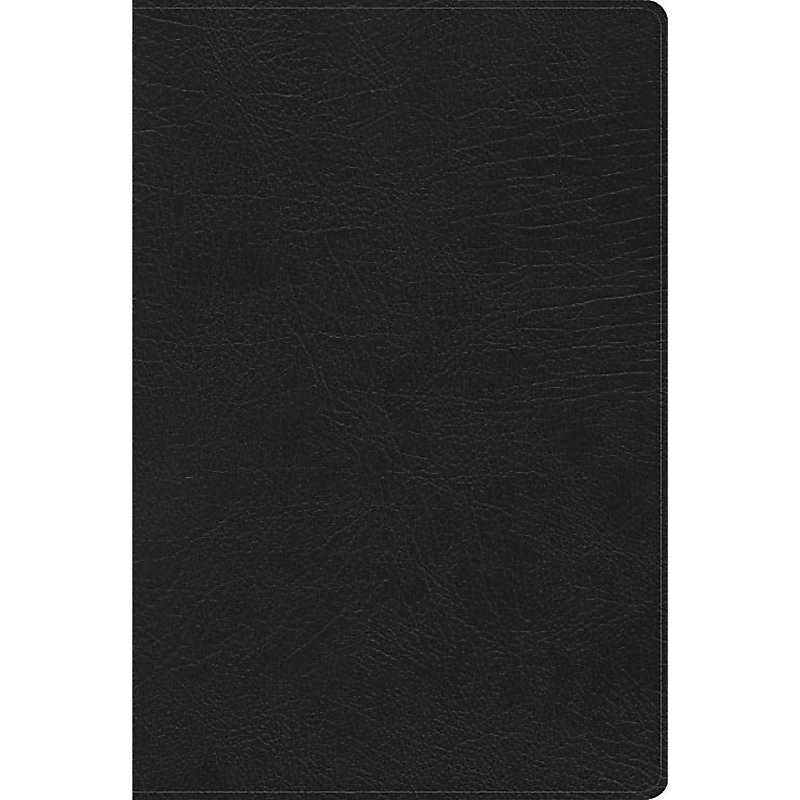 RVR 1960 Biblia de Estudio Arcoiris, negro símil piel con índice
