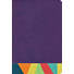 RVR 1960 Biblia de Estudio Arcoiris, morado/multicolor
