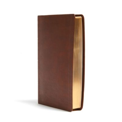 CSB Seven Arrows Bible, Brown LeatherTouch
