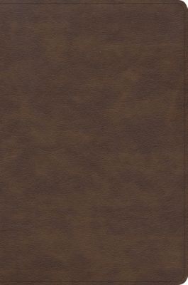 CSB Seven Arrows Bible, Brown LeatherTouch