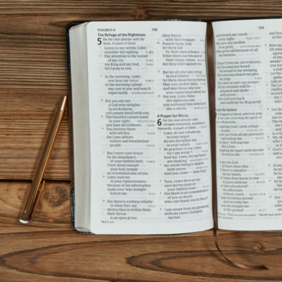 CSB Large Print Personal Size Reference Bible, Black/Brown LeatherTouch