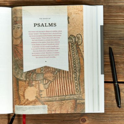 KJV Study Bible, Full-Color, Charcoal Cloth-Over-Board