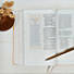 CSB (in)courage Devotional Bible Desert/Mustard/Alabaster LeatherTouch Indexed