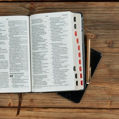CSB Large Print Personal Size Reference Bible, Black/Brown LeatherTouch, Indexed