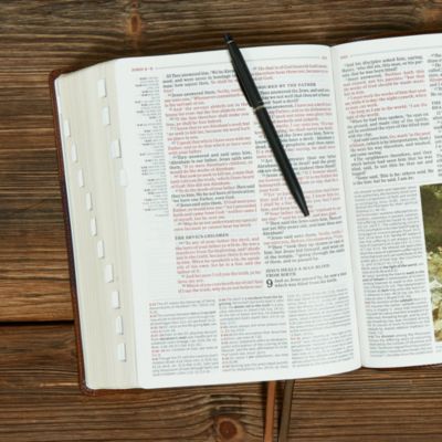KJV Study Bible, Full-Color, Saddle Brown LeatherTouch, Indexed