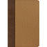 CANCELLED: KJV Rainbow Study Bible, Brown/Tan LeatherTouch, Indexed
