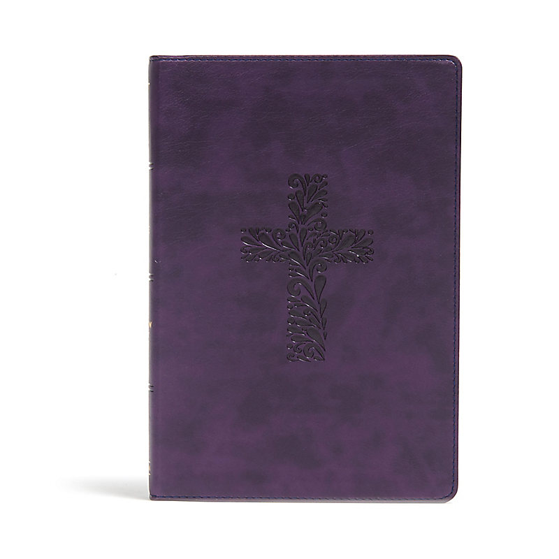 KJV Rainbow Study Bible, Purple LeatherTouch