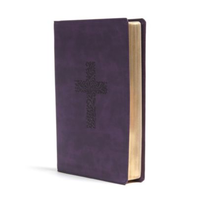 KJV Rainbow Study Bible, Purple LeatherTouch