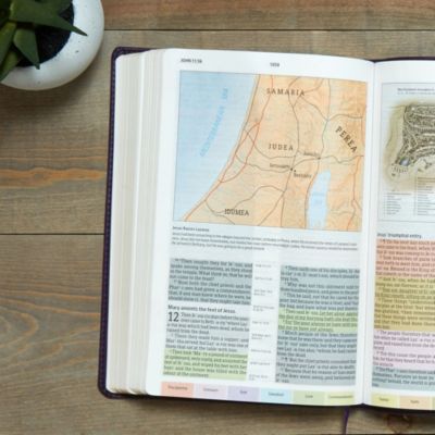 KJV Rainbow Study Bible, Purple LeatherTouch