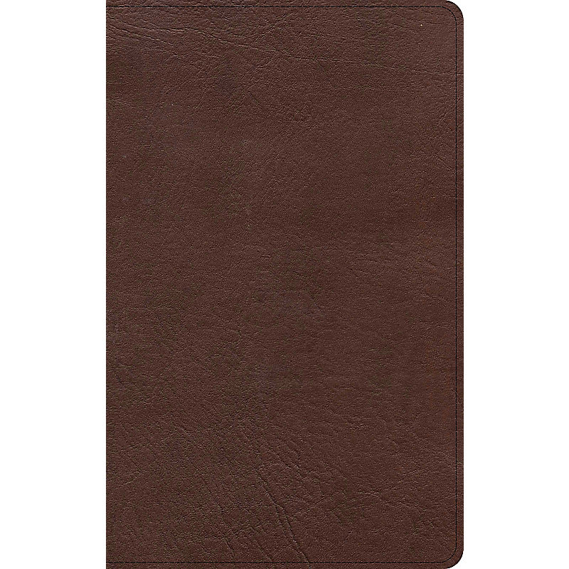 KJV Single-Column Personal Size Bible, Brown LeatherTouch