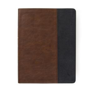 CSB Men of Character Bible, Brown/Black LeatherTouch, Indexed