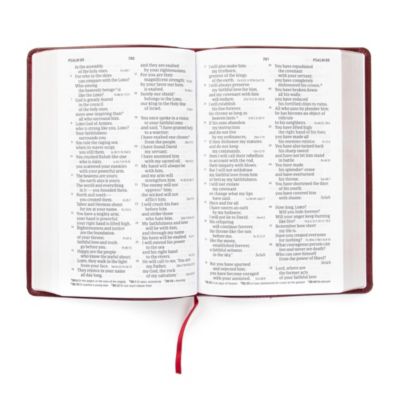 CSB Large Print Personal Size Reference Bible, Burgundy LeatherTouch