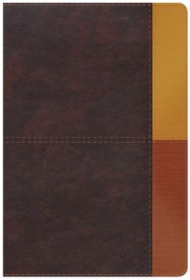 RVR 1960 Biblia de Estudio Arcoiris, cocoa/ terracota símil piel con índice